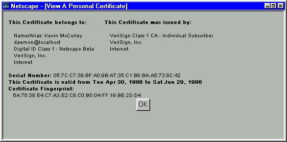 Netscape window