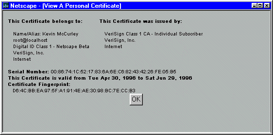 Netscape window